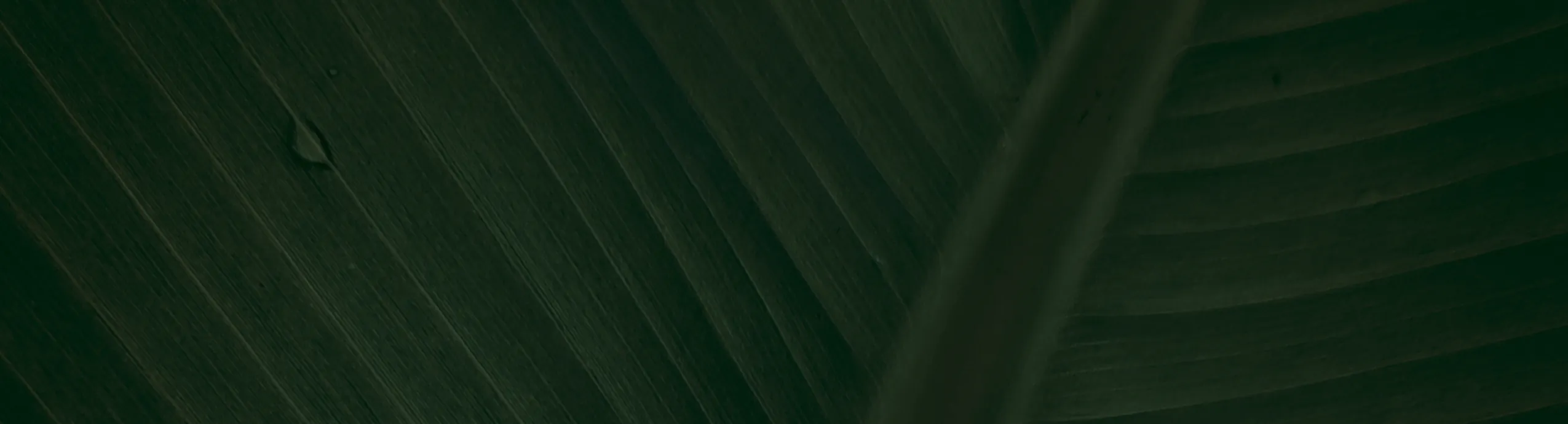 hero-image_optimized Arcilla expandida