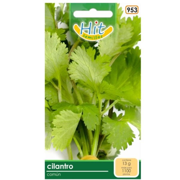 Semillas de cilantro para huerto en casa marca Hit