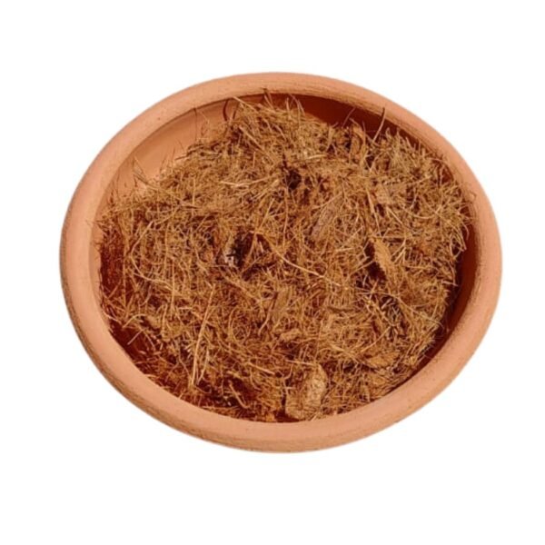 coco portada Fibra de coco en un plato de barro