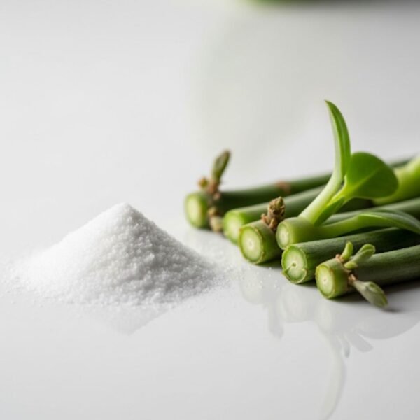 Esquejes y raizal Enraizador raizal