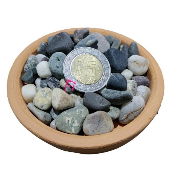 Piedra piñón portada Piedra de río piñón para jardinería