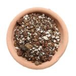 Sustrato para cactus y suculentas a granel en planto de barro