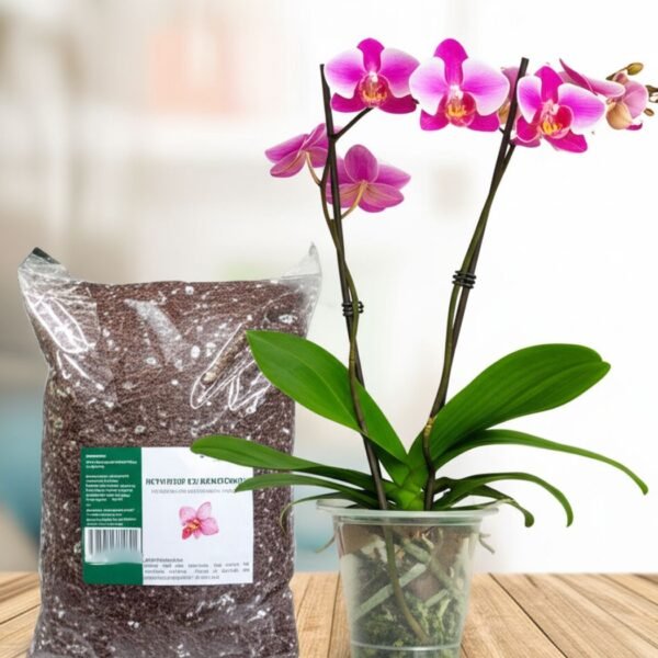 Orquidea y sustrato Orquídea phalaenopsis con sustrato para orquídeas Vinde