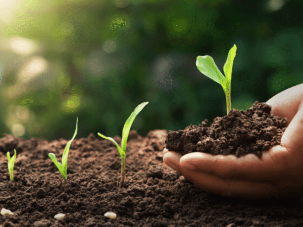 TierraJardin Tierra preparada para sembrar en el jardín