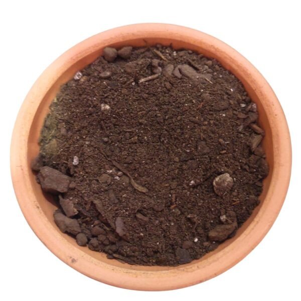 Tierra preparada - vista principal Tierra preparada para plantas de interior, exterior y huerto en casa