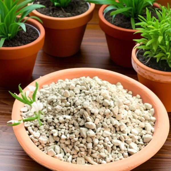 Zeolita y plantas Zeolita junto a plantas de interior