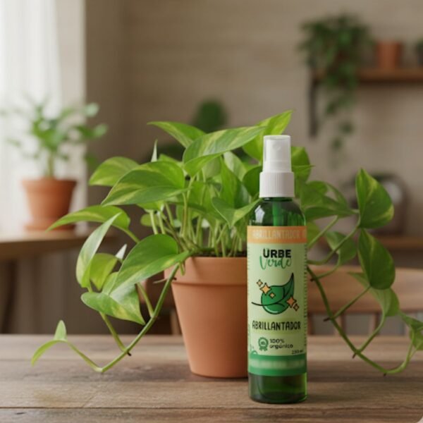 Abrillantador pothos Abrillantador orgánico y planta pothos o teléfono