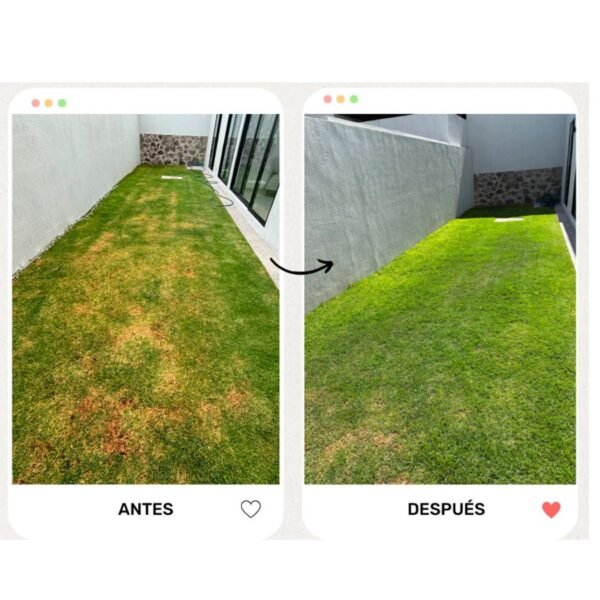 Nutripasto uso Antes y después del uso de nutripasto