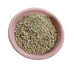 Osmocote portada Osmocote en plato de barro