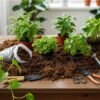 Peat moss y plantas Peat moss y plantas de interior