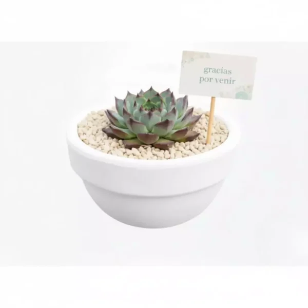 AnyConv.com__Fotos catálogo eventos (1) Tazón de barro pintado con planta suculenta y banderin personalizado