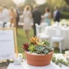 Centro mesa suculentas eventos CDMX Centro de mesa con plantas suculentas y maceta de barro. Para bautizos