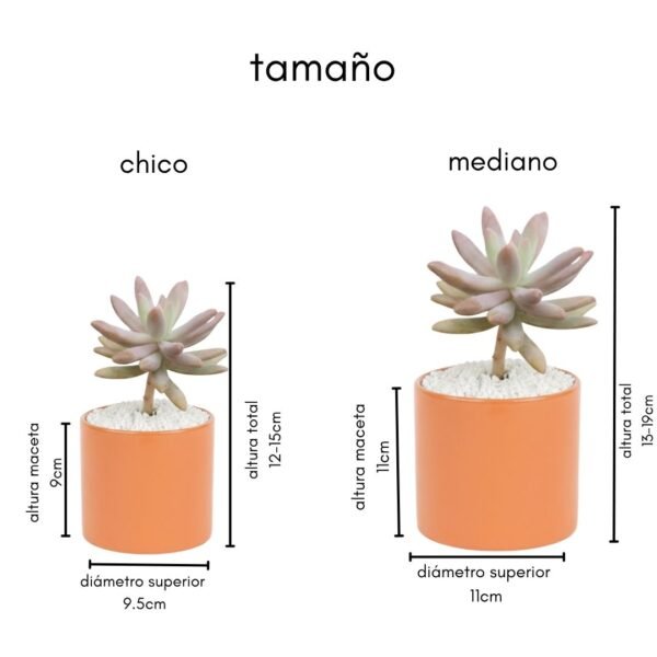 Fotos catálogo eventos (3) Suculentas y árboles de la abundancia en macetas de barro para eventos sociales como bodas, primeras comuniones, XV años, bautizos, baby shower y más