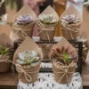Giveaways ecologicos kraft suculentas (1) Plantas suculentas envueltas en papel ecológico para eventos sociales como bodas, XV años y baby shower