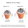 Medidas recuerdos Vinde Medidas de plantas suculentas en barro de Vinde garden center