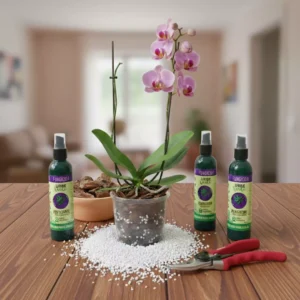 Kit para el cuidado de orquídea.