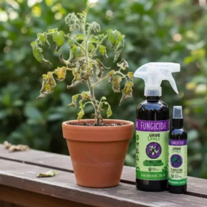 Combate plagas y hongos en tu huerto de forma orgánica