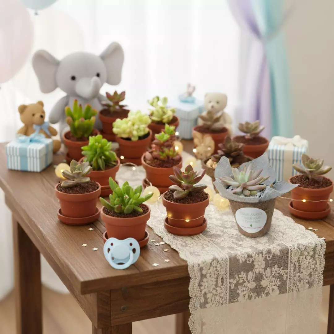 Recuerdos con suculentas para baby shower. Vinde garden center CDMX