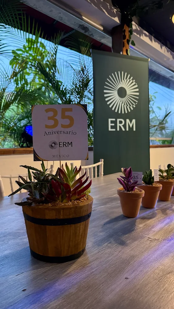 Recuerdos con suculentas para graduación. Vinde garden center CDMX