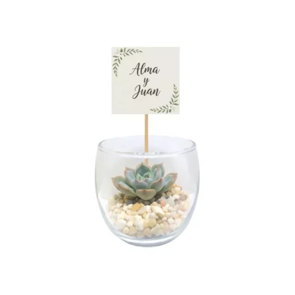 Recuerdos Vinde sticker boda Miniterrarios con suculentas. Give aways ecológicos para empresas y eventos corporativos en CDMX