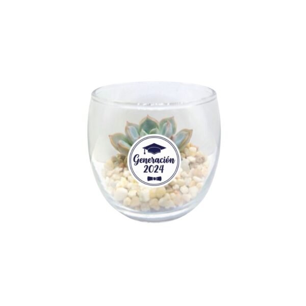 Recuerdos Vinde sticker graduaciones Miniterrarios con suculentas. Give aways ecológicos para graduaciones, bautizos, XV años y más en CDMX