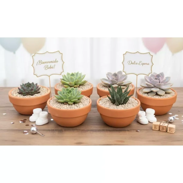 Recuerdos baby shower Tazón de barro con suculentas para eventos sociales y corporativos en CDMX
