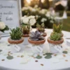 Recuerdos boda CDMX Plantas suculentas en maceta de barro para eventos sociales en CDMX: Vinde garden center