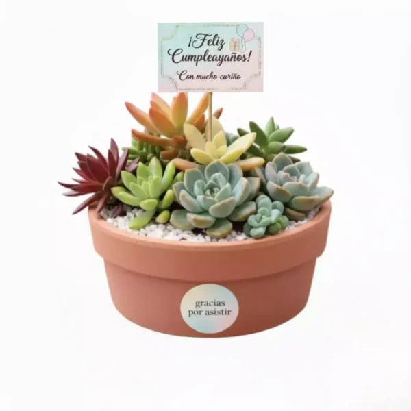 Recuerdos ecologicos CDMX cumpleaños Arreglo con plantas suculentas con sticker en maceta de barro. Regalo personalizado para eventos sociales o empresariales