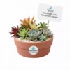Recuerdos ecologicos empresas suculentas Arreglo con plantas suculentas con sticker en maceta de barro. Regalo personalizado para eventos sociales o empresariales