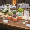Recuerdos ecologicos eventos sociales CDMX Suculentas y árboles de la abundancia en macetas de barro para eventos sociales como bodas, primeras comuniones, XV años, bautizos, baby shower y más