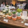 Recuerdos ecológicos para boda CDMX Suculentas y árboles de la abundancia en macetas de barro para eventos sociales como bodas, primeras comuniones, XV años, bautizos, baby shower y más
