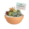 Regalo barro suculentas CDMX cumpleaños Arreglo con plantas suculentas con sticker en maceta de barro. Regalo personalizado para eventos sociales o empresariales