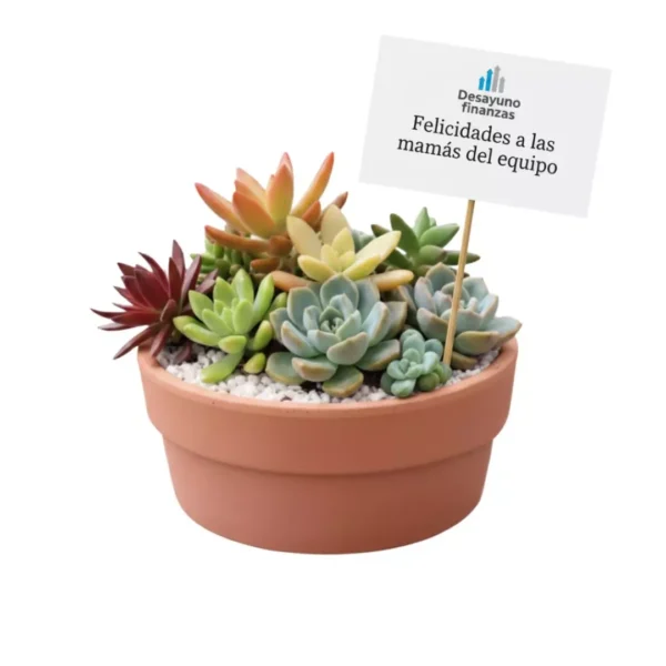 Regalo corporativo Vinde Centro de mesa con plantas suculentas y maceta de barro. Para eventos empresariales y corporativos. Regalos ecológicos