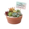 Regalo ecologicos cumpleaños Centro de mesa con plantas suculentas y maceta de barro. Para eventos sociales y regalos de cumpleaños