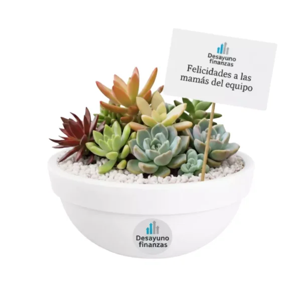 Regalos ecológicos cdmx centro mesa Arreglo con plantas suculentas con sticker en maceta de barro. Regalo personalizado para eventos sociales o empresariales
