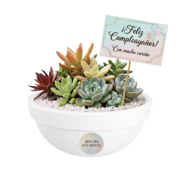 Regalos ecológicos centro mesa Arreglo con plantas suculentas con sticker en maceta de barro. Regalo personalizado para eventos sociales o empresariales