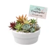 Regalos ecológicos empresariales Arreglo con plantas suculentas con sticker en maceta de barro. Regalo personalizado para eventos sociales o empresariales