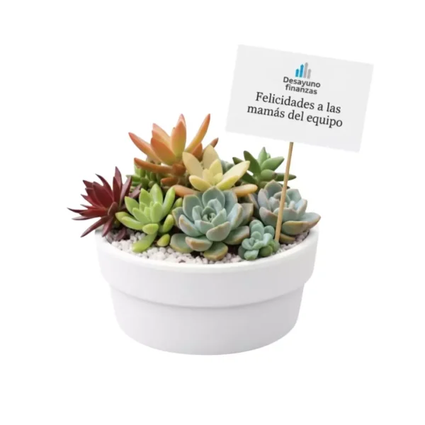 Regalos empresas suculentas Arreglo con plantas suculentas con sticker en maceta de barro. Regalo personalizado para eventos sociales o empresariales