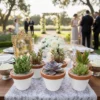 Suculenta maceta blanca boda Plantas suculentas en maceta de barro para eventos sociales en CDMX