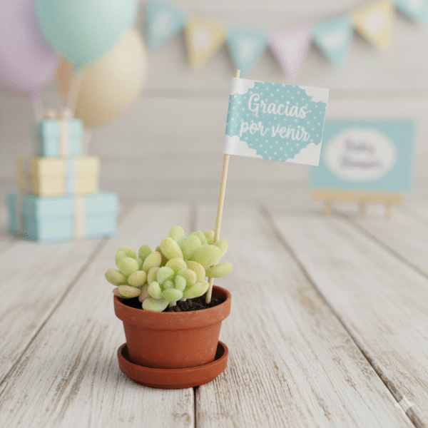 Suculenta mini Vinde banderin Suculenta miniatura con banderín de Vinde garden center para baby shower