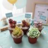 Suculentas CDMX baby shower Plantas suculentas como recuerdos ecológicos para eventos sociales en CDMX
