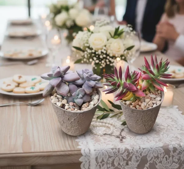 Suculentas bautizo CDMX Tienda de recuerdos ecológicos para eventos en CDMX: baby shower, bautizo
