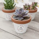 Plantas suculentas en macetas de barro con sticker para boda