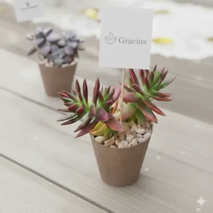 Plantas suculentas para eventos sociales y empresariales en CDMX