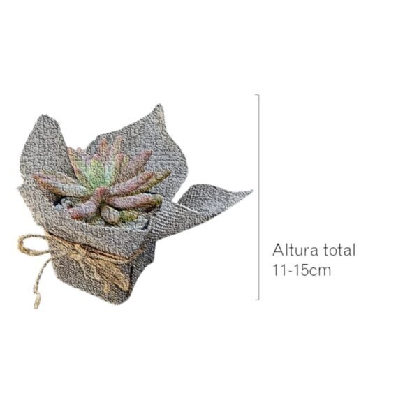 Suculentas eventos Vinde CDMX Suculentas envueltas en yute eventos sociales