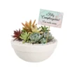 Tazón barro blanco suculentas Arreglo con plantas suculentas con sticker en maceta de barro. Regalo personalizado para eventos sociales o empresariales