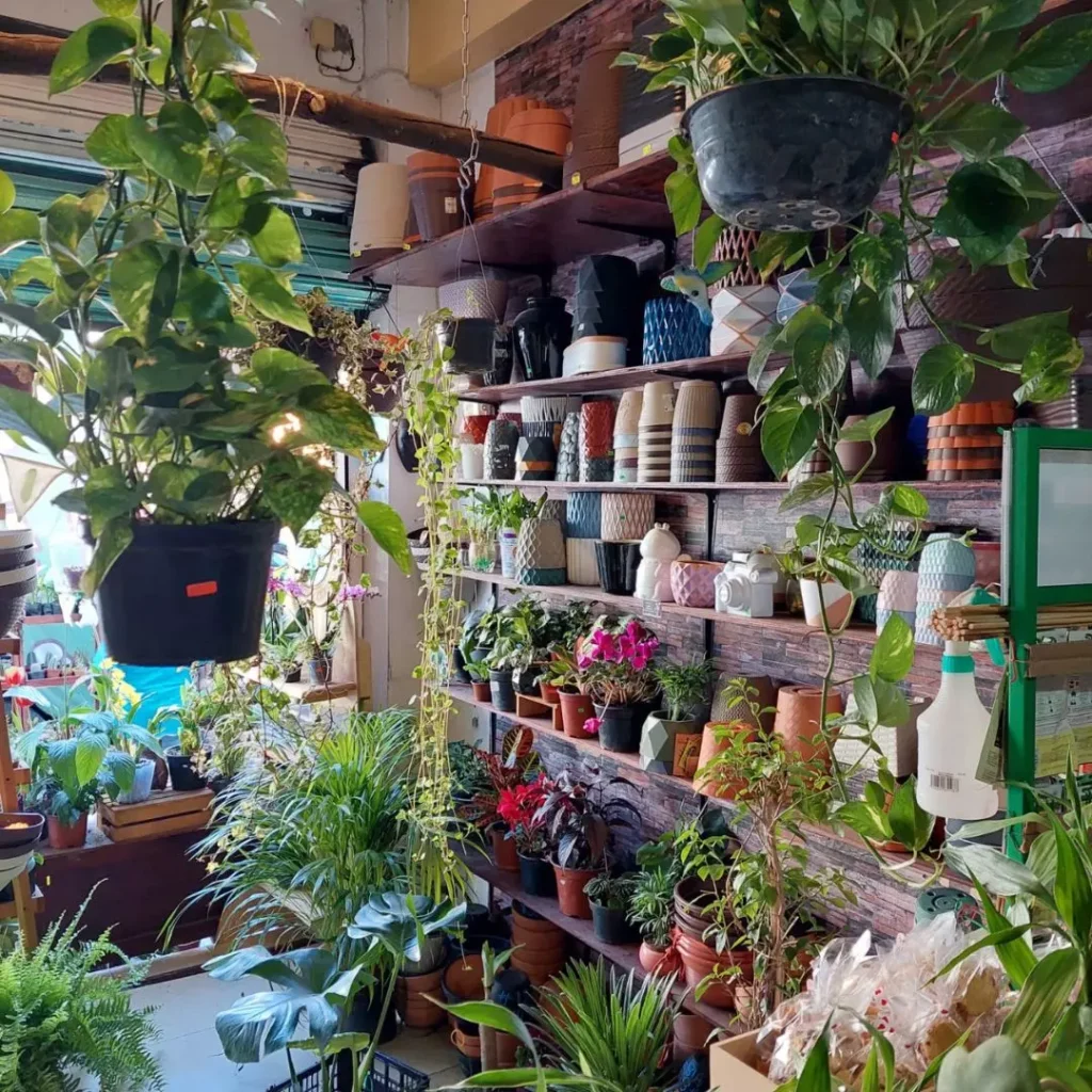 Vinde garden center está en la alcaldía Gustavo a Madero CDMX