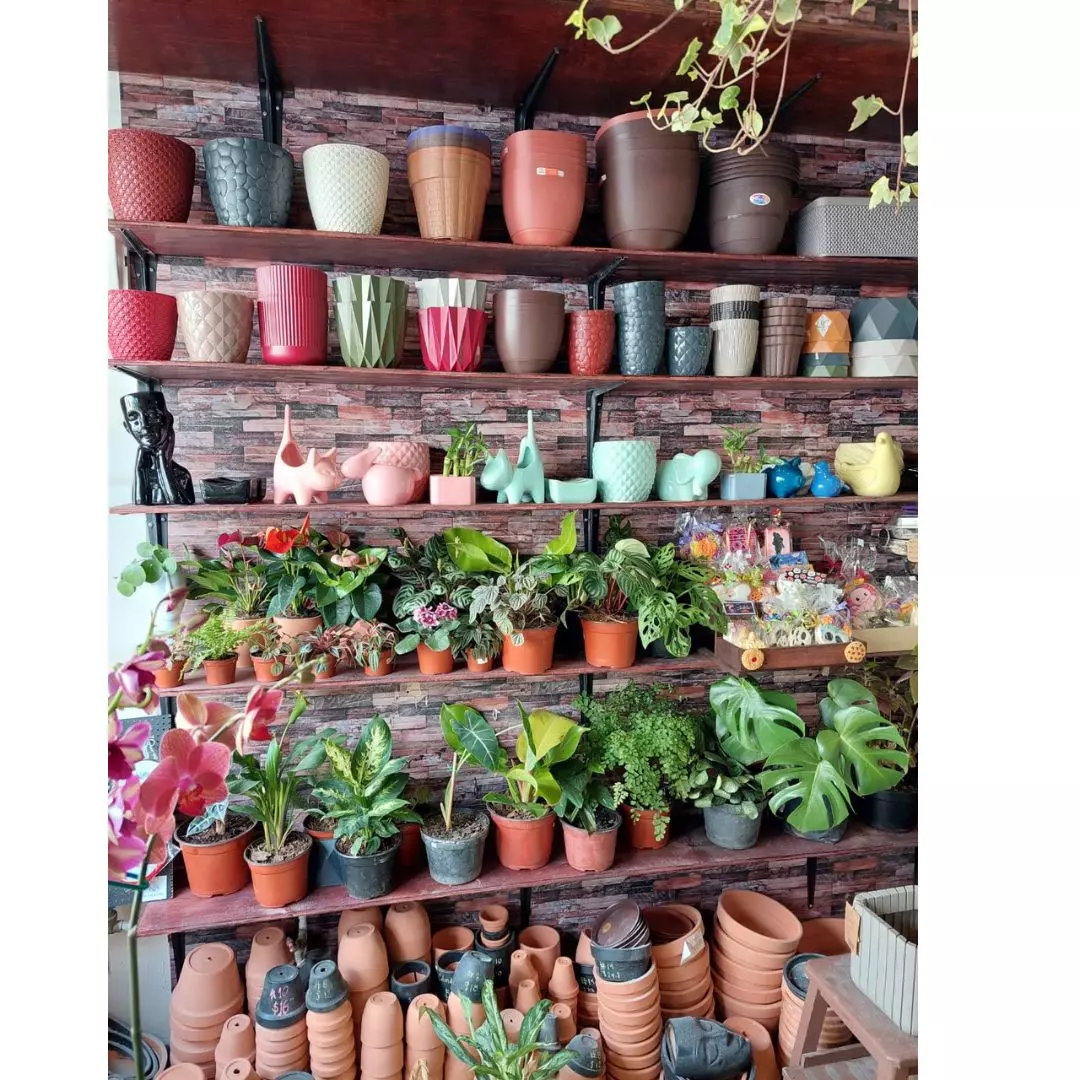 Macetas y plantas en Vinde garden center, Ciudad de México