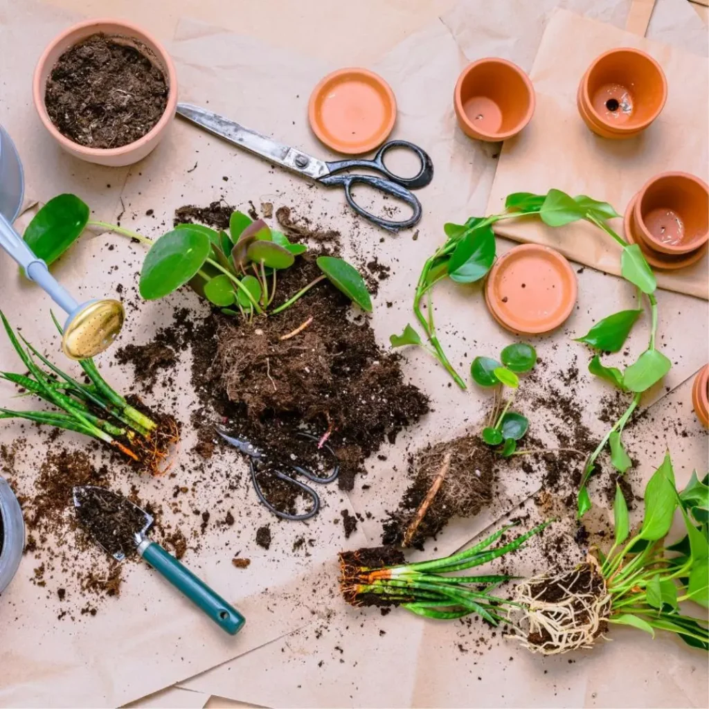 Artículos de jardinería