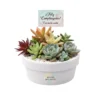 Vinde regalos ecológicos Arreglo con plantas suculentas con sticker en maceta de barro. Regalo personalizado para eventos sociales o empresariales